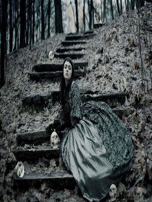 cover image of Universo gótico